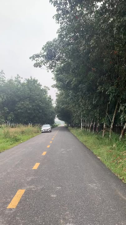 Đất nền Tân Uyên 295m² giá 900 triệu - Sổ đỏ chính chủ, vị trí đắc địa!