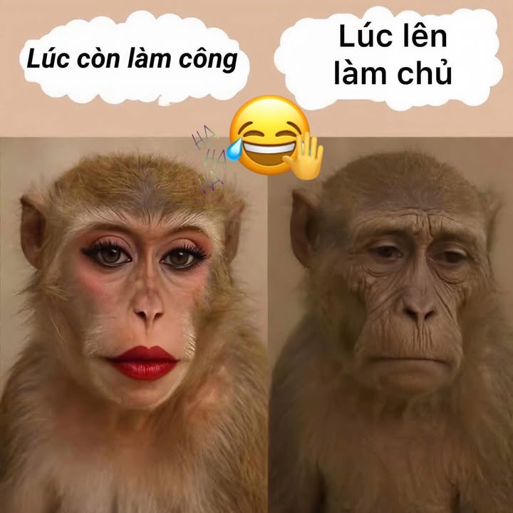 Đất nền Phước An, Krông Pắc 120m² giá 950 triệu - Vị trí đắc địa gần chợ và trường học!