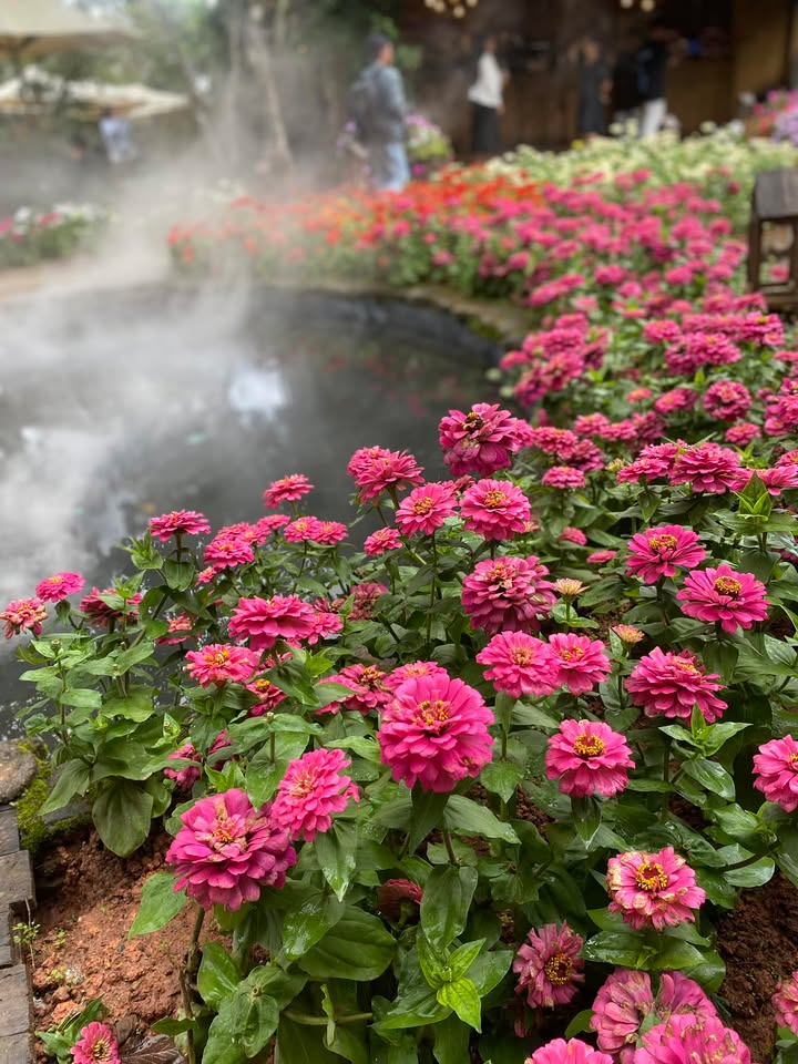 Nhà mặt tiền đường Lạc Long Quân, phường Lang Biang, 147m² giá 4.9 tỷ - Đầu tư sinh lời ngay!