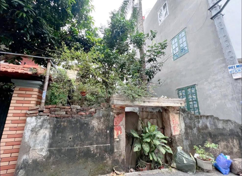 Đất nền Cổ Bi Gia Lâm 70m² giá 6.55 tỷ - Ô tô vào tận đất, gần trường học!