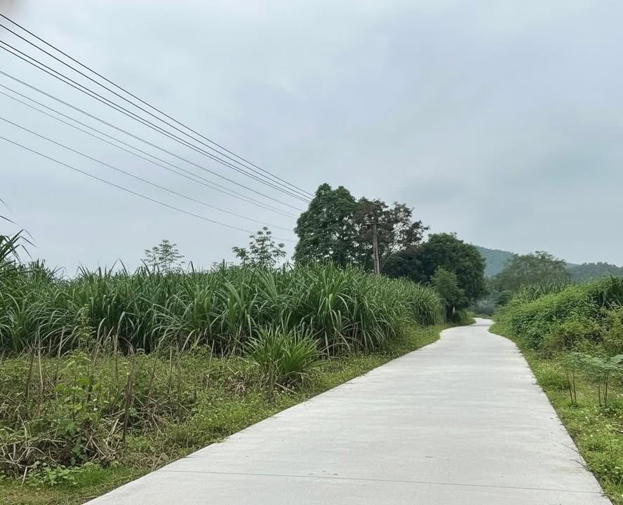 Đất thổ cư 2300m² tại Đoàn Kết, Yên Thủy - Cơ hội đầu tư tuyệt vời!