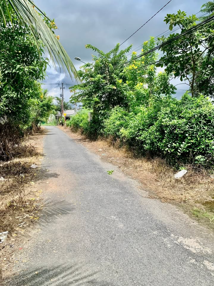 Nhà Mặt Tiền N5, Phường Mỹ Phong, Diện Tích 60m² Giá 2.5 Triệu - Căn Nhà Thuận Tiện Để Ở