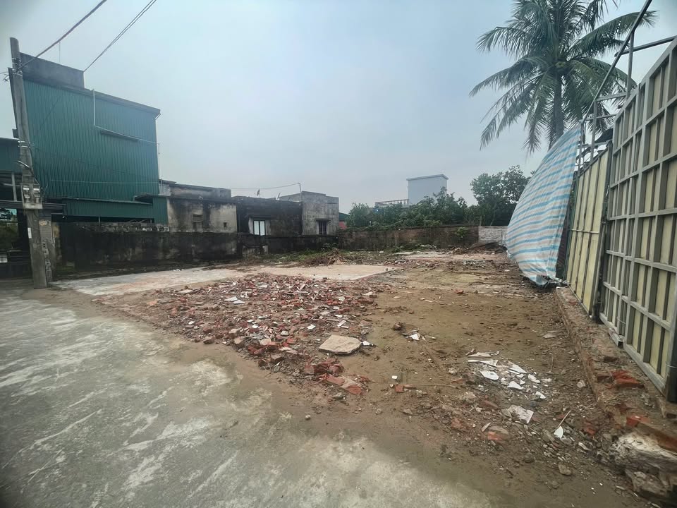 Đất thổ cư Đông Lâm - Tiền Hải 115m² giá 400 triệu - Cơ hội đầu tư hấp dẫn!