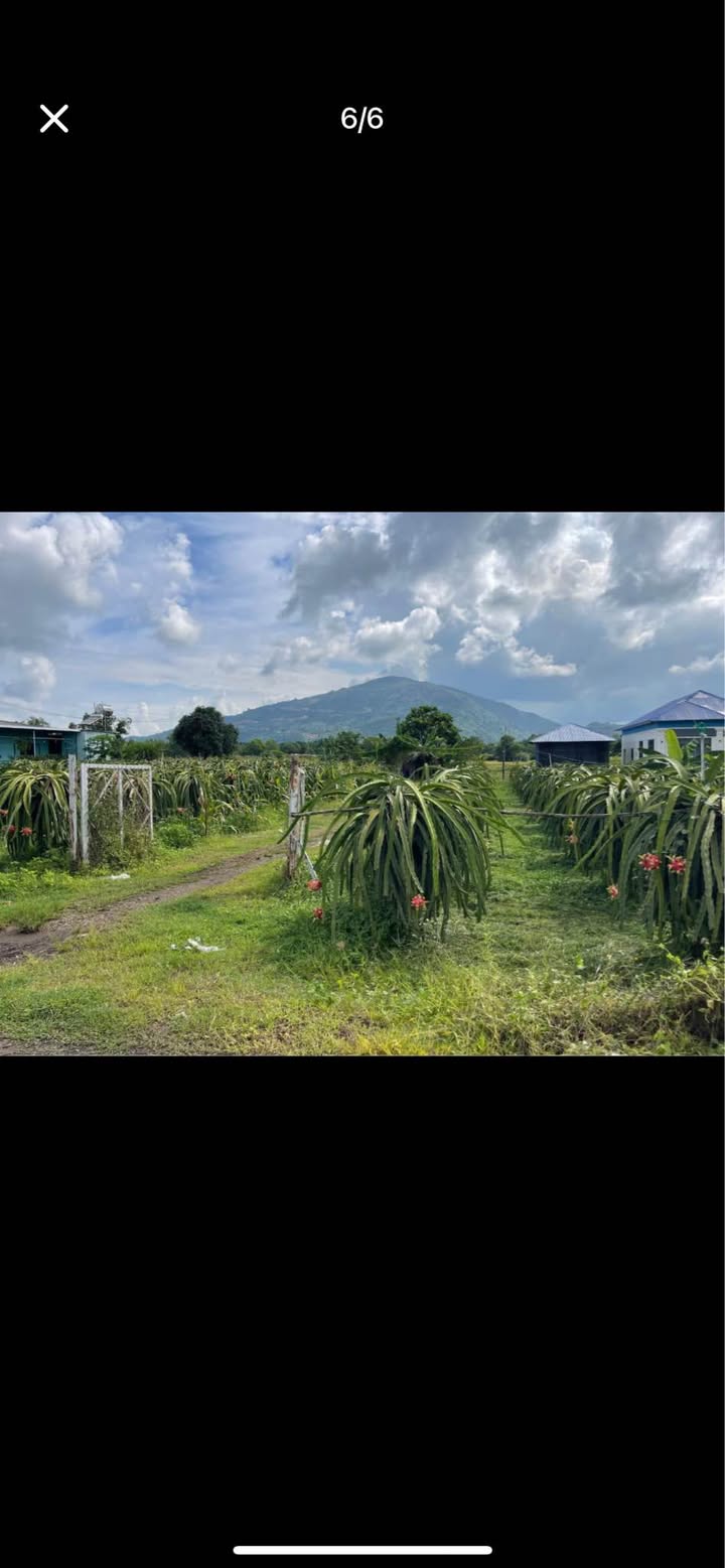 Đất nền Xuân Phú - Xuân Lộc 1000m² giá chỉ 700 triệu - Cơ hội đầu tư tuyệt vời!