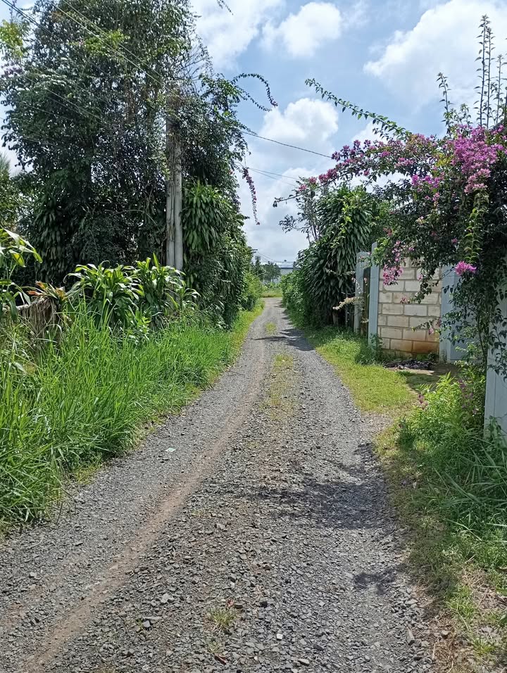 Đất mặt tiền Lộc Thành, Bảo Lâm 1104m² giá 2.3 tỷ - Cơ hội đầu tư hấp dẫn!