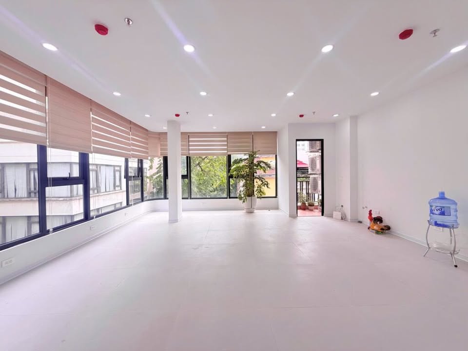 Văn phòng cho thuê tại Hoàng Quốc Việt, Cầu Giấy 50m² - Giá chỉ 13 triệu/tháng!