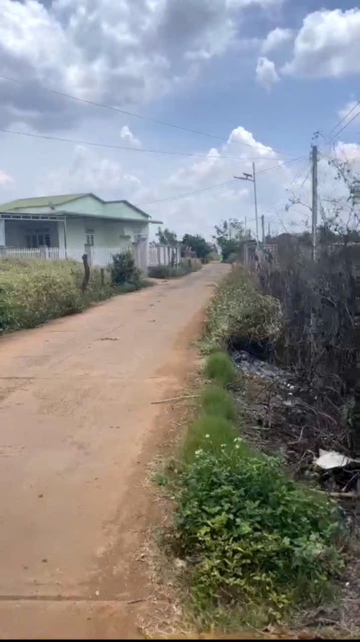 Đất nền Tân Hội Đức Trọng 240m² giá chỉ 900 triệu - Cơ hội đầu tư vàng!