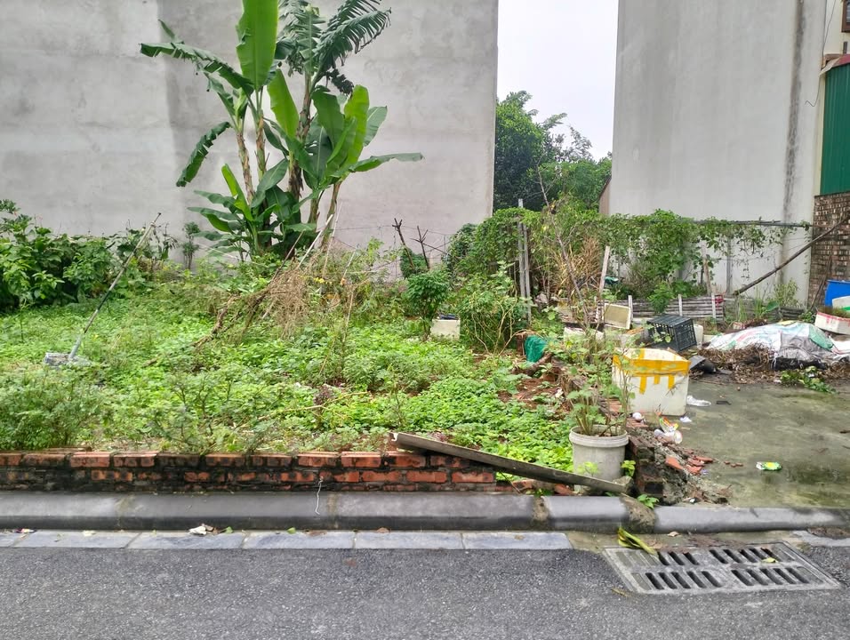 Đất nền Đản Dị, Đông Anh 70m² giá đầu tư - Cơ hội vàng cho bạn!