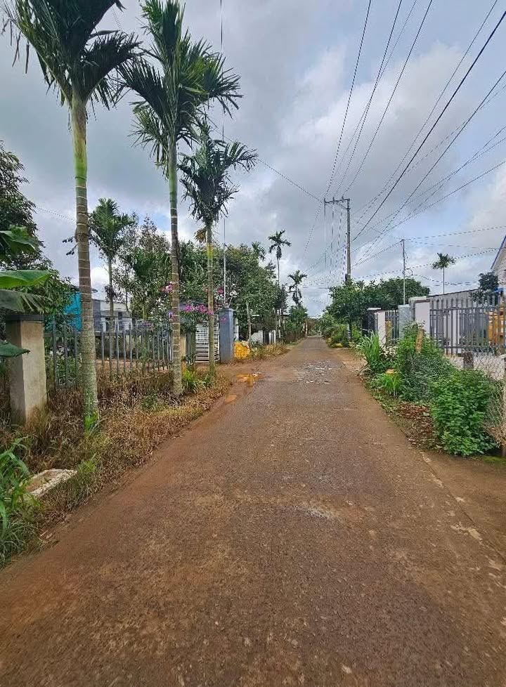 Đất nền Tân Lập 400m² giá 2.2 tỷ - Khu dân cư đông đúc, gần tiện ích!