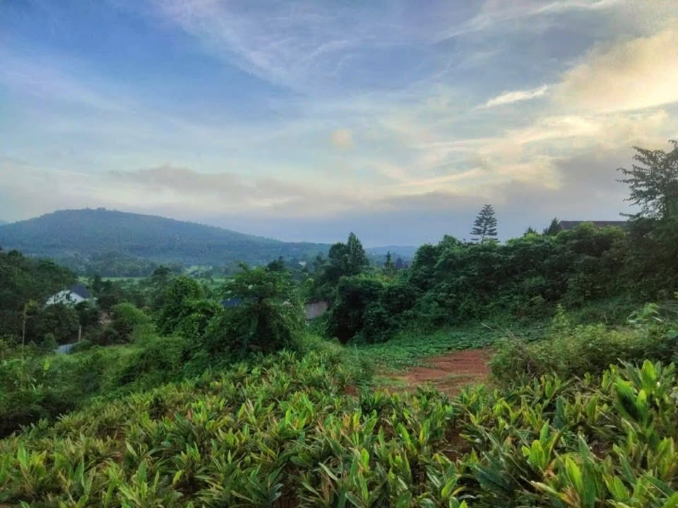 Đất Farm 1.8ha tại Đông Xuân, Quốc Oai - View thoáng đãng, giá thỏa thuận!