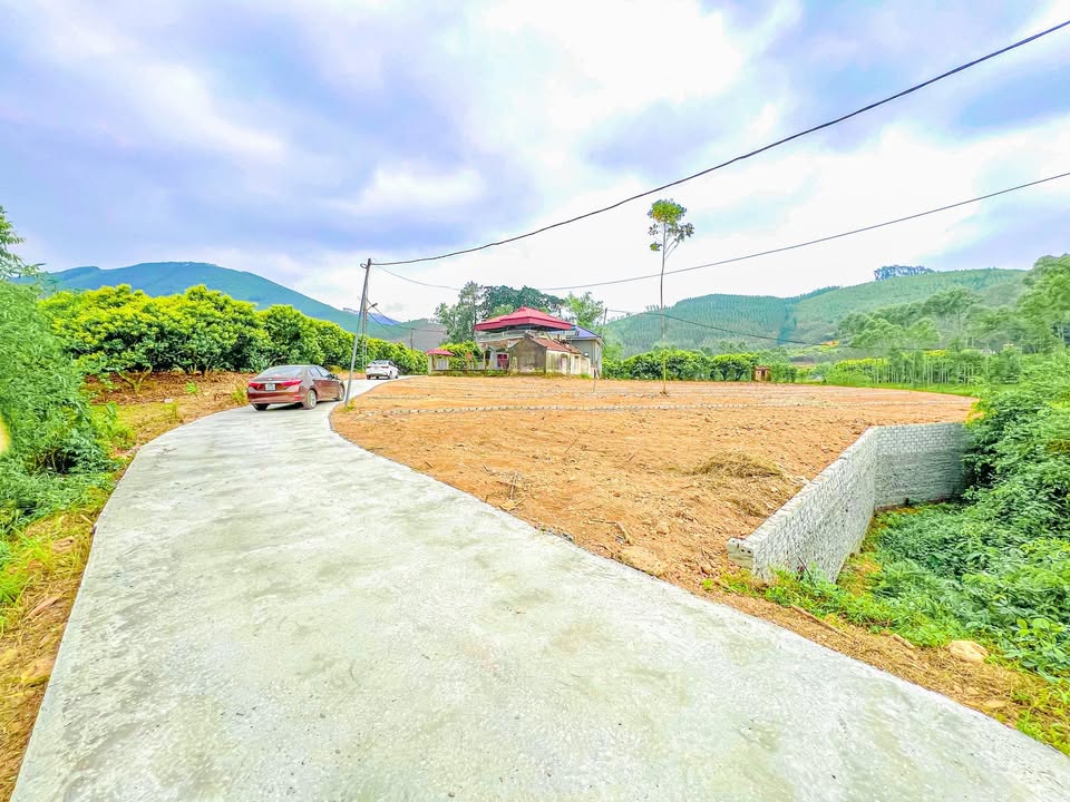 Đất nền thôn Dùm, Lục Nam, Bắc Giang 232m² - Mặt tiền 14m, giá thỏa thuận!