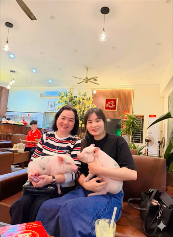 Đất nền Big C Bắc Giang 90m² mặt đường Lê Thanh Nghị - Giá thỏa thuận hấp dẫn!