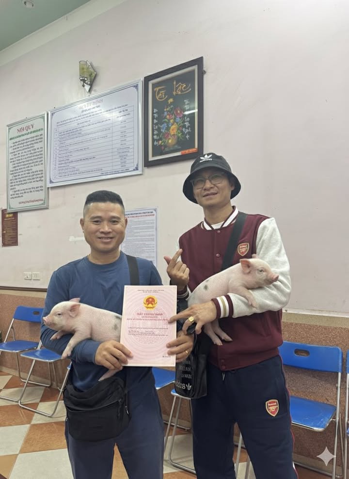 Biệt thự góc đường Nguyễn Đình Tuân, Bắc Giang 221m² - Đầu tư sinh lời lý tưởng!