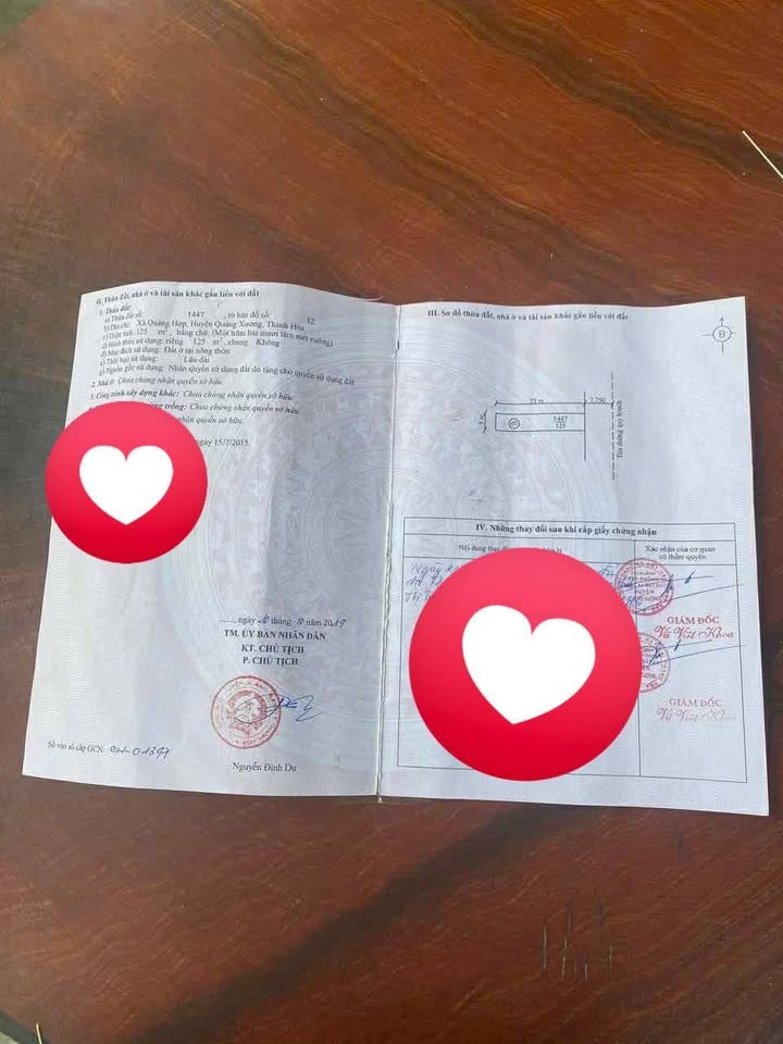 Đất nền Quảng Hợp 125m² giá 500 triệu - Đối diện sân bóng, vị trí thuận lợi!