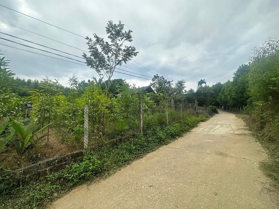 Đất nền Tây Cốc Đoan Hùng 1126m² - Sổ đỏ chính chủ, giá thỏa thuận hấp dẫn!