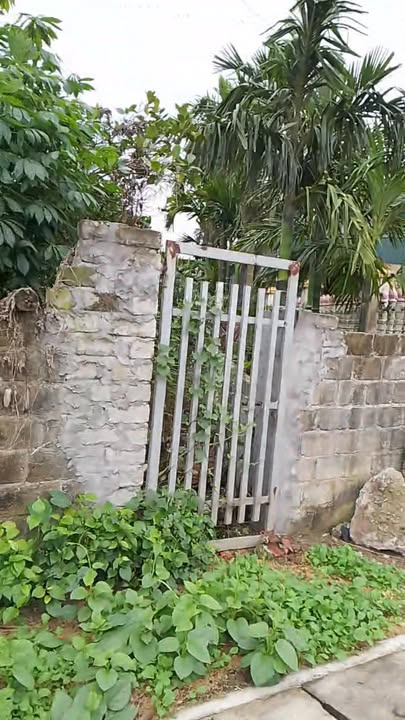 Đất nền Vĩnh Bảo 120m² giá thỏa thuận - Kinh doanh sầm uất, gần KCN An Hòa!