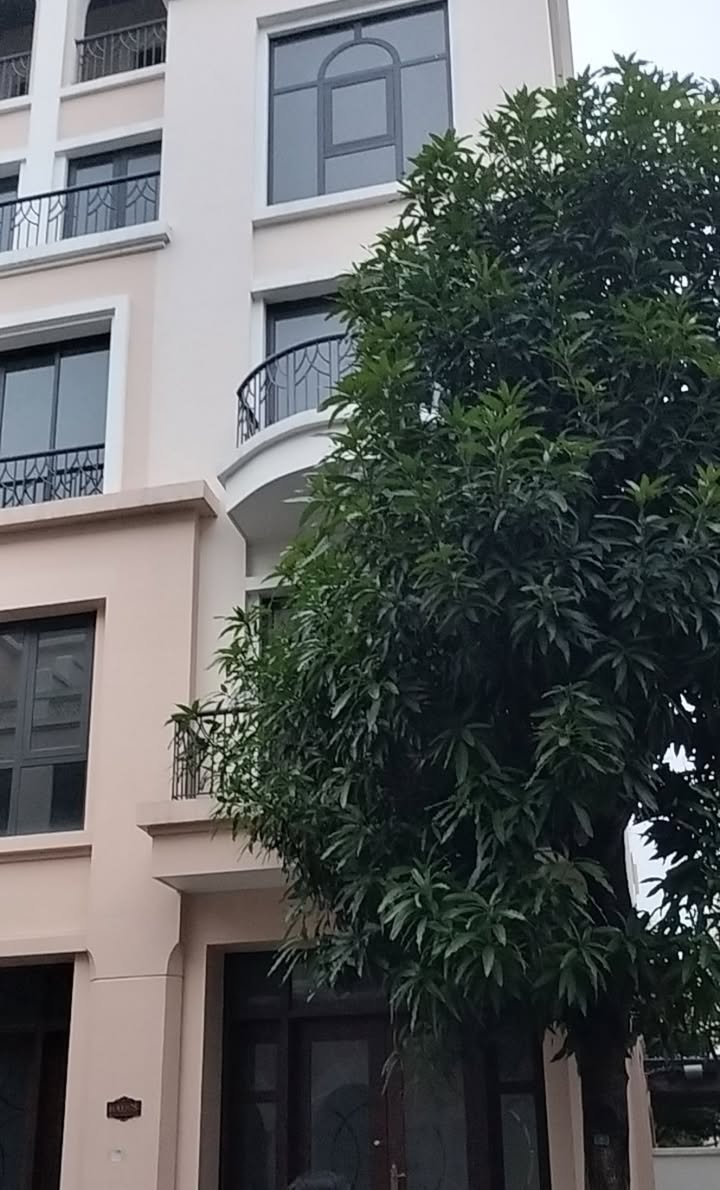 Đất nền Kiêu Kỵ Gia Lâm 80m² - Giá đầu tư hấp dẫn chờ đón bạn!