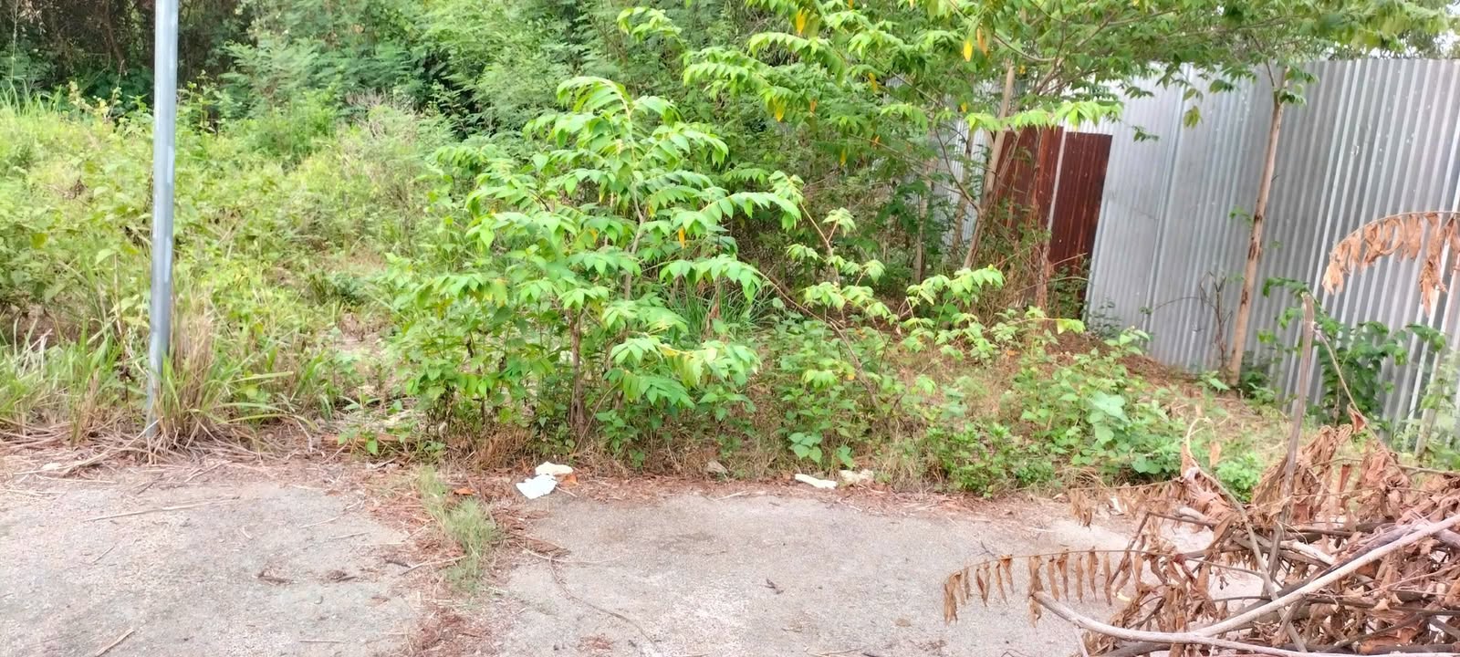 Đất nền Vĩnh Ngọc Nha Trang 91m² giá 1 tỷ - Đầu tư sinh lời ngay!