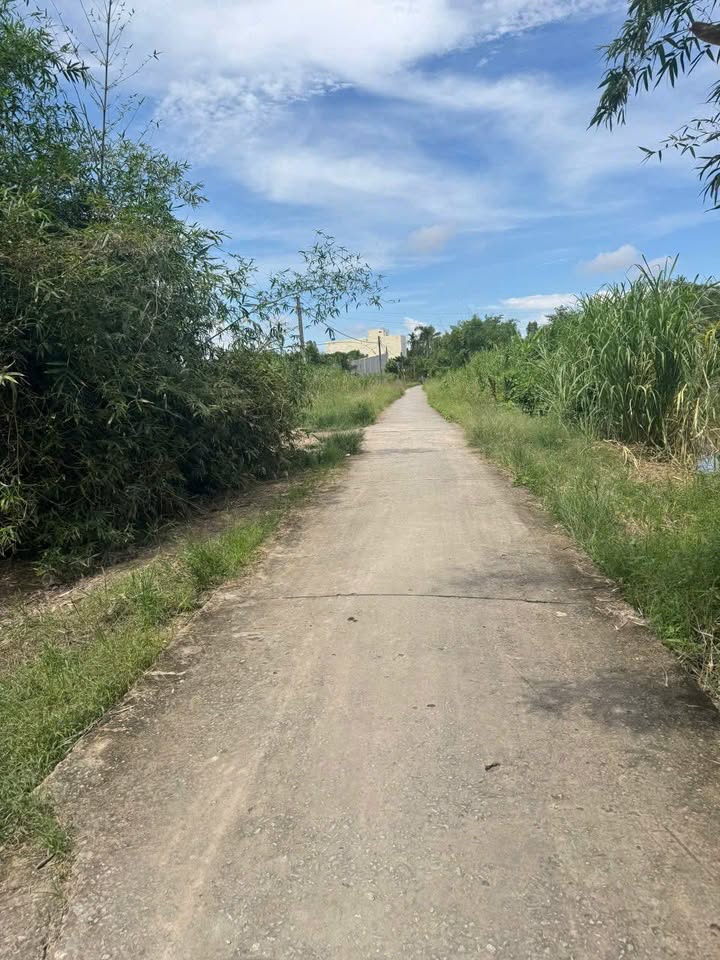 Bán đất thổ cư Thạnh Lộc 335m² giá 750 triệu - Vị trí tiềm năng gần KCN