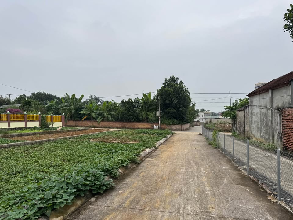 Đất nền 100m² tại Phú Cát, Quốc Oai - Giá chỉ 3 tỷ, pháp lý rõ ràng!