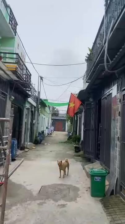 Nhà riêng Củ Chi 56m² giá 1.8 tỷ - Nhà mới hoàn toàn, vào ở ngay!