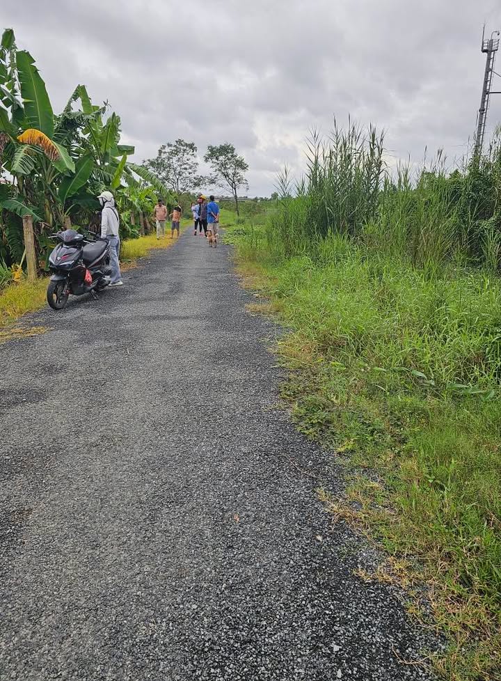 Đất nền mặt tiền nhựa Thị Trấn Bình Phú, 39,000m² chỉ 2,73 tỷ - Cơ hội đầu tư hấp dẫn!