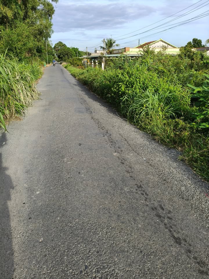 Đất mặt tiền xã Phước Lập, huyện Tân Phước 588m² giá 750 triệu - Cơ hội đầu tư tuyệt vời!