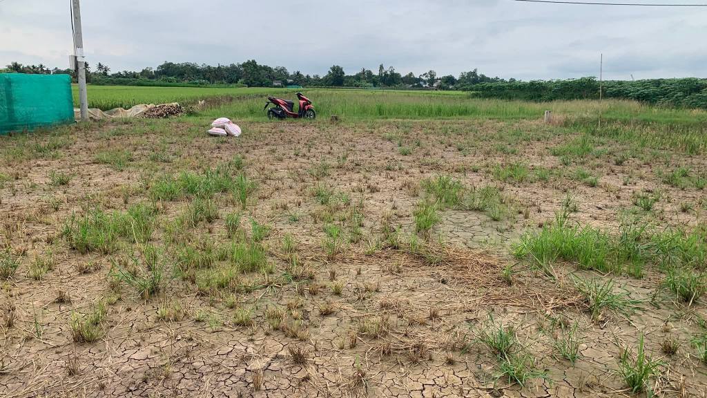 Đất thổ cư 544m² xã Phước Trung, Gò Công Đông - Giá chỉ 530 triệu, đầu tư sinh lời!