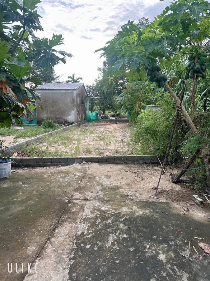 Đất nền Hòa Quý Ngũ Hành Sơn 117m² - Hướng Đông Nam, pháp lý rõ ràng!