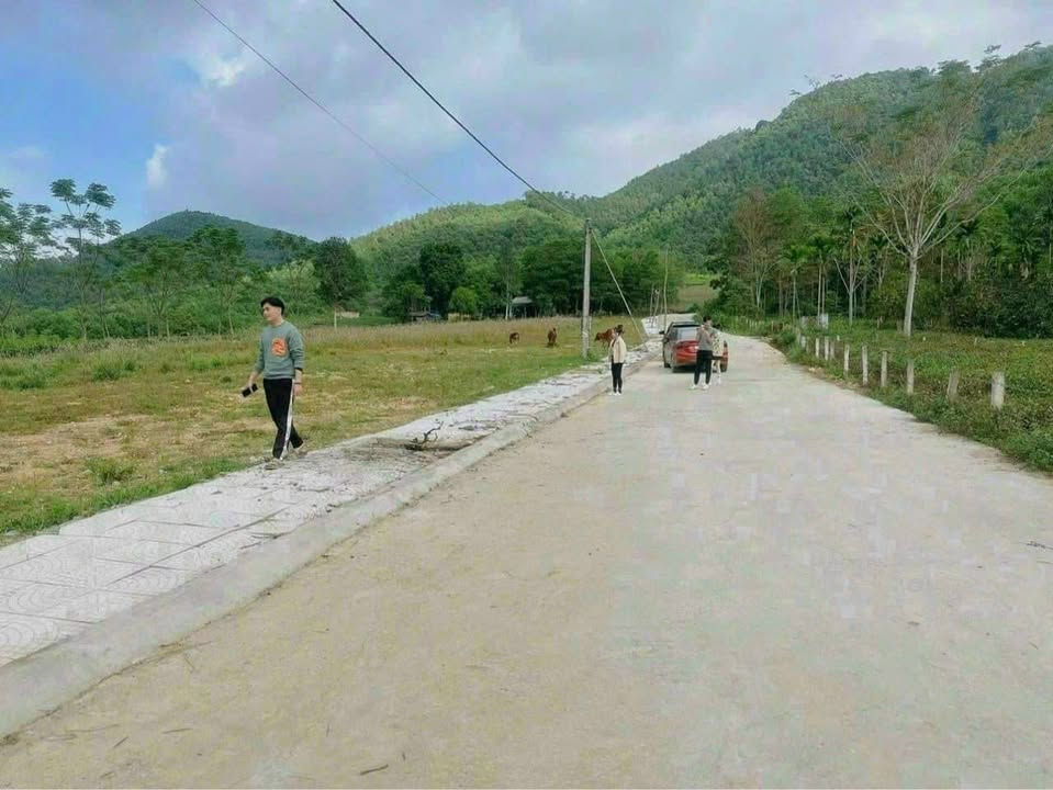 Đất vườn Ngọc Đồng Yên Lập 557m² giá chỉ 500 triệu - Đầu tư sinh lời hấp dẫn!