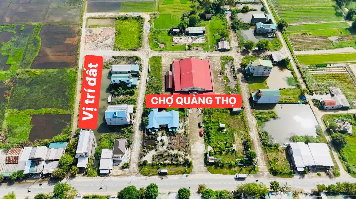 Đất Khu Quy Hoạch Chợ Quảng Thọ 146m² chỉ 800 triệu - Đầu tư sinh lời ngay!