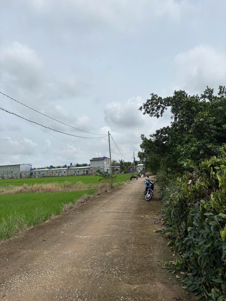 Đất thổ cư mặt tiền đường Mai Thị Hồng Hạnh, Rạch Giá 311m² giá 1.55 tỷ - Đầu tư sinh lời ngay!