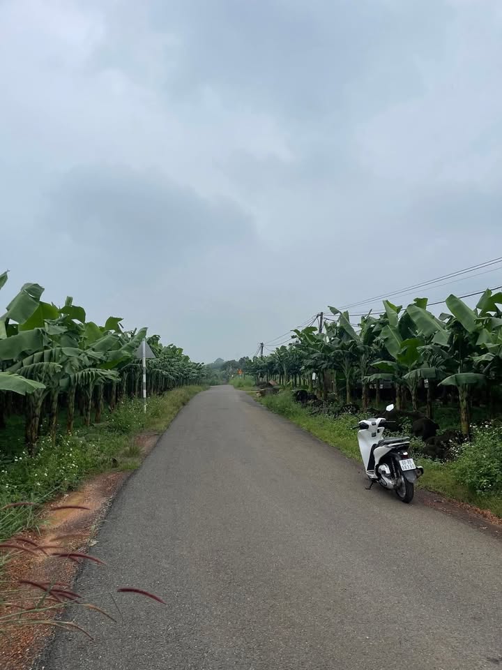 Đất mặt tiền xã Bàu Hàm Trảng Bom 1000m² giá 1.19 tỷ - Đầu tư sinh lời nhanh!