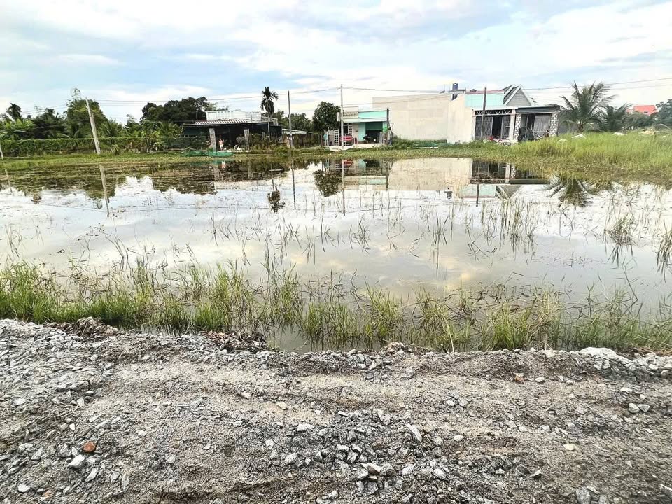 Đất thổ cư xã Mỹ Hạnh, Đức Hòa, Long An 105m² giá 790 triệu - Sổ hồng chính chủ, oto vào tận nơi!