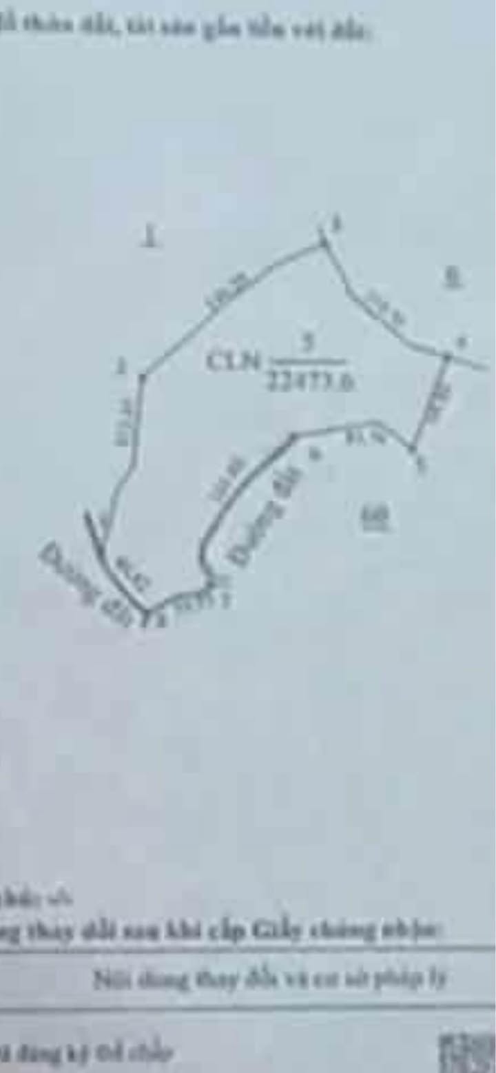 Đất nền 2,3 ha tại Quảng Trực, Đắk Song - Sổ đỏ chính chủ, giá thỏa thuận!