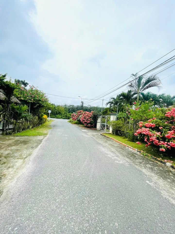 Đất thổ cư Nhuận Đức Củ Chi 1645m² giá chỉ 4 tỷ - Vị trí đắc địa, quy hoạch đất ở!