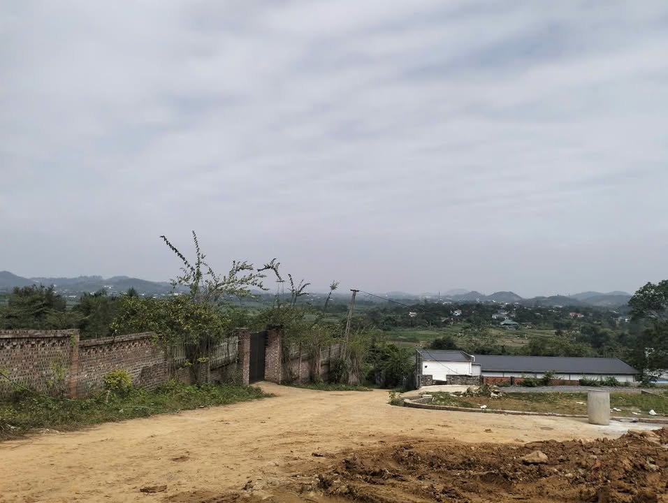 Đất nền tại xã Yên Bài, Ba Vì 1800m² - Mặt tiền 36m, giá đầu tư hấp dẫn!