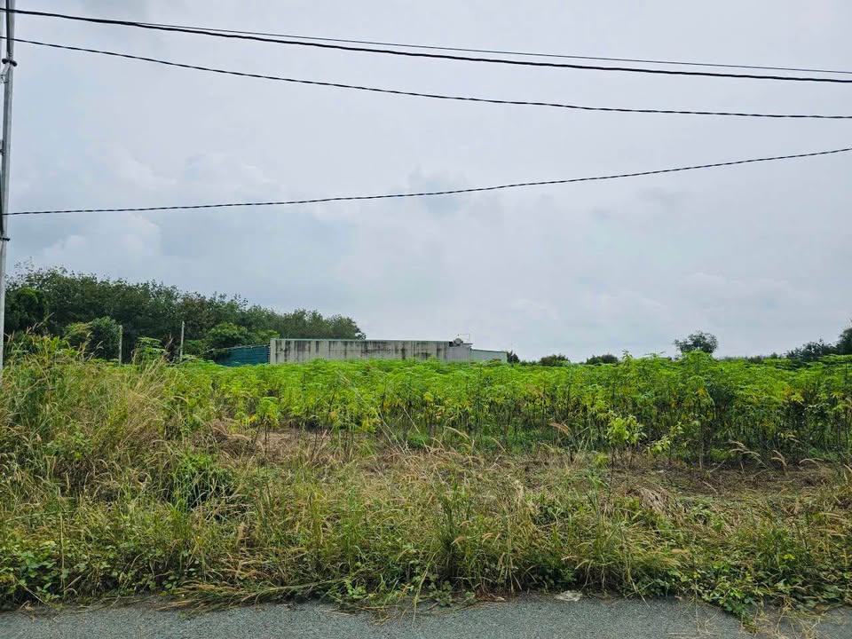 Đất nền Tân Hưng, Đồng Phú 190m² giá chỉ 300 triệu - Cơ hội đầu tư lý tưởng!