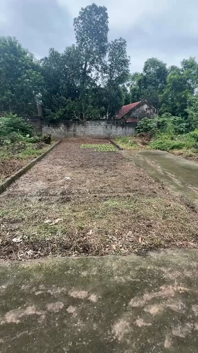 Đất thổ cư 56m² tại Thị xã Duy Tiên giá 900 triệu - Cơ hội đầu tư tuyệt vời!