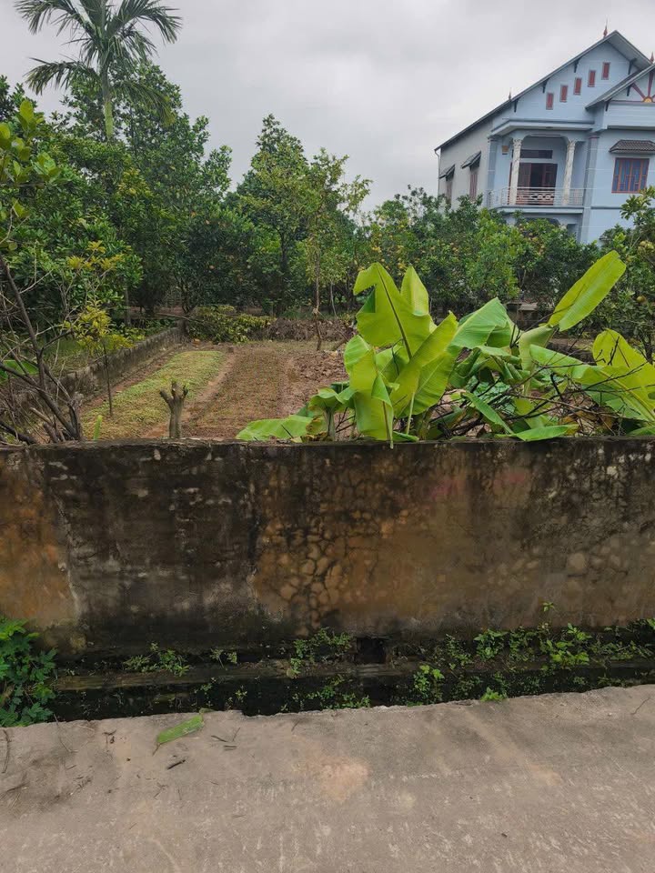 Đất nền xã Bột Xuyên, Mỹ Đức 110m² giá 1.9 tỷ - Đầu tư sinh lời cao!