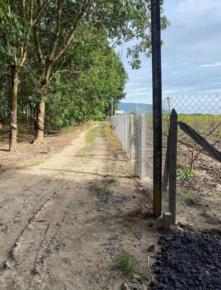 Đất nền Tân Hưng, Tân Châu 3690m² - Gần trường học, giá thỏa thuận!