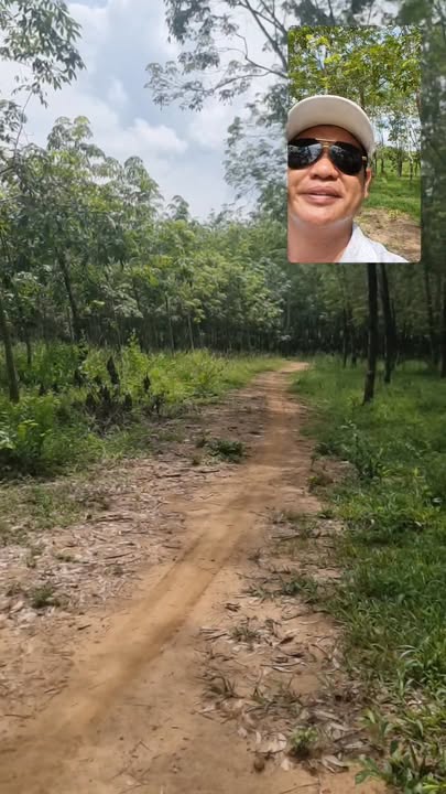 Đất Farm Vĩnh Hòa, Phú Giáo, Bình Dương 12.000m² giá 5.5 tỷ - Cơ hội đầu tư tuyệt vời!