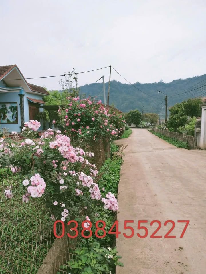 Đất nền 285m² Thảo Nguyên, Mộc Châu chỉ 1 tỷ - Đầu tư sinh lời ngay!