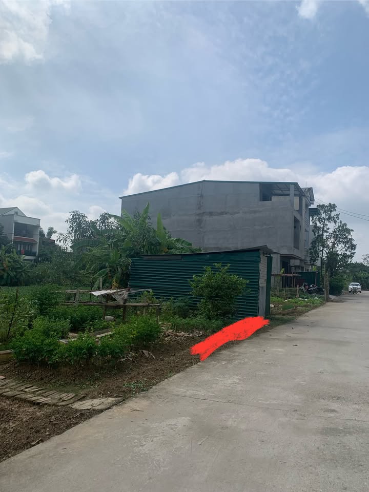 Đất nền Trưng Vương Việt Trì 99m² - Vị trí đắc địa, tiện ích phong phú