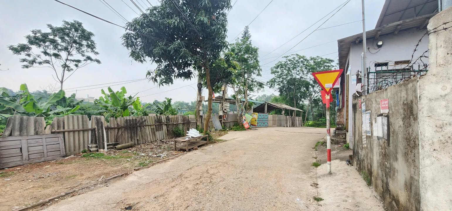 Đất thổ cư 120m² tại Phù Đổng, Việt Trì - Giá chỉ 4.9 tỷ, đầu tư sinh lời ngay!