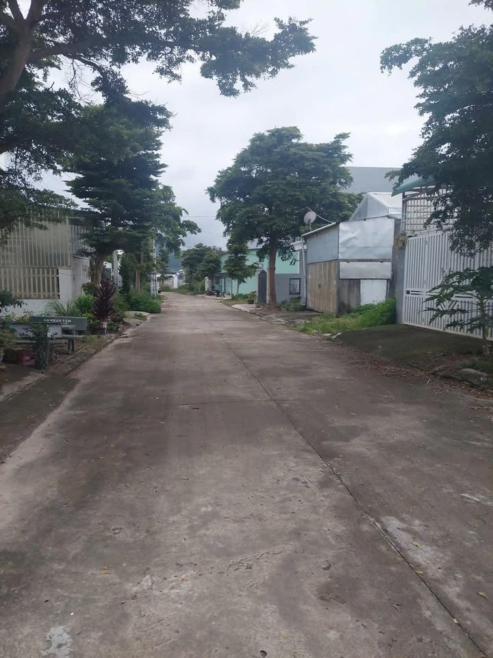 Đất nền Phú Hội, Đức Trọng 117m² giá 1.6 tỷ - Sổ hồng chính chủ!