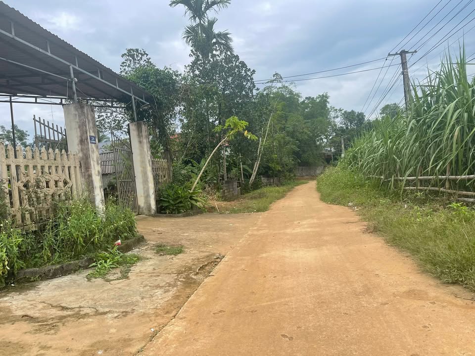 Đất nền Nguyệt Ấn, Ngọc Lặc 145m² - Đường bê tông thông tứ phía, giá tốt!