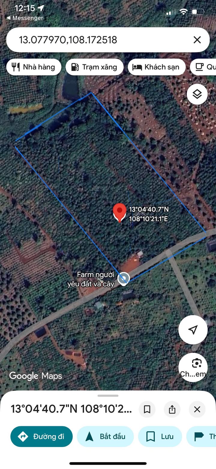 Farm đất đỏ 2.7ha tại Ea Sin, Krông Buk, Đắk Lắk - Nguồn thu khủng từ sầu riêng và cafe!