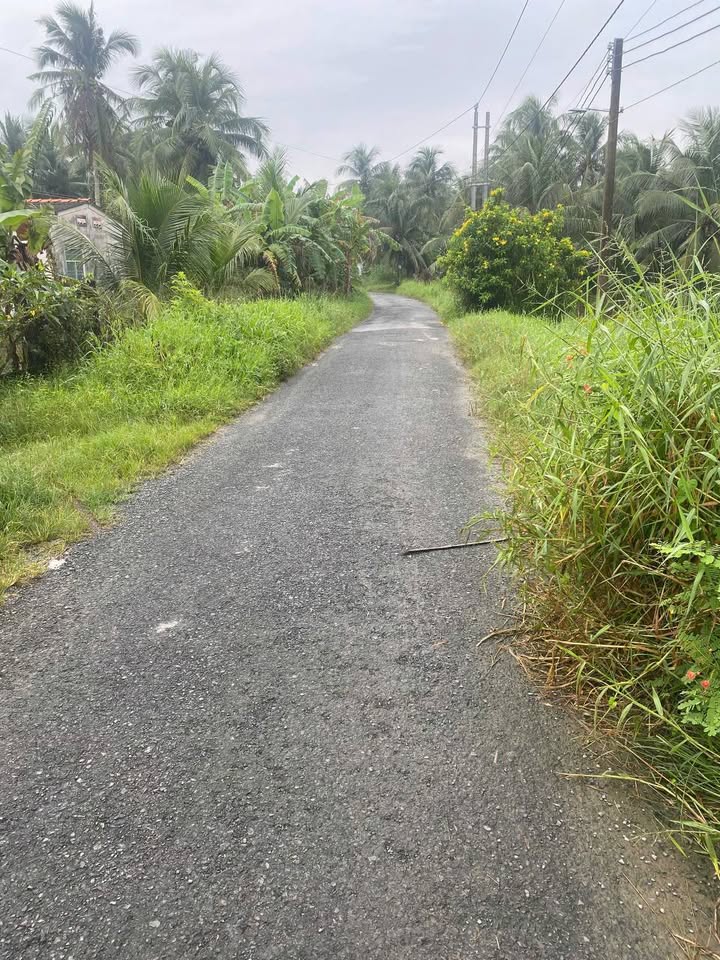 Đất mặt tiền Lương Hòa, Châu Thành, 1430m² giá 750 triệu - Tiềm năng đầu tư lớn!