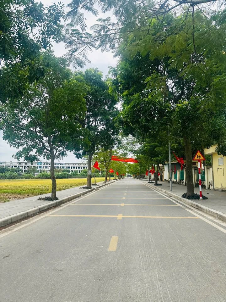 Đất nền Hương Mạc, Từ Sơn 55.2m² - Đường ô tô đỗ cửa, Sổ đỏ chính chủ!